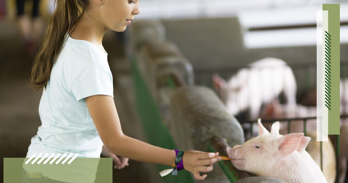 1922_building_lenawee_through_our_children_blog_article_images-5